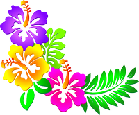 hibiscus-corner-hi.png hibiscus-corner-hi.png