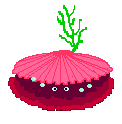 clam.gif clam.gif