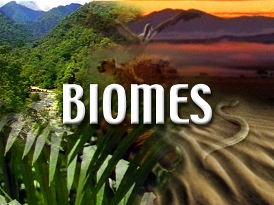 biomes