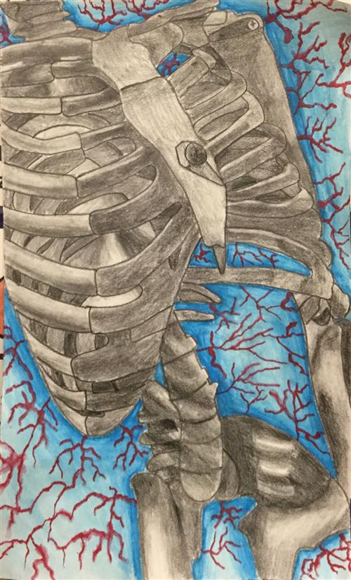 Skeleton 