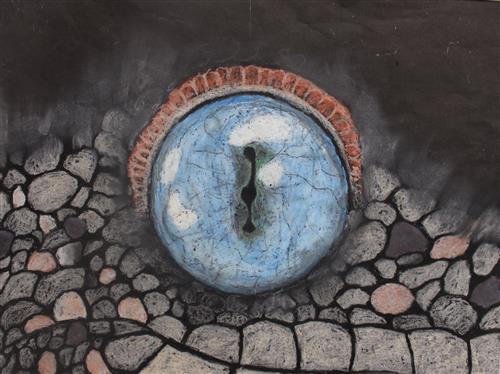 Animal Eye 