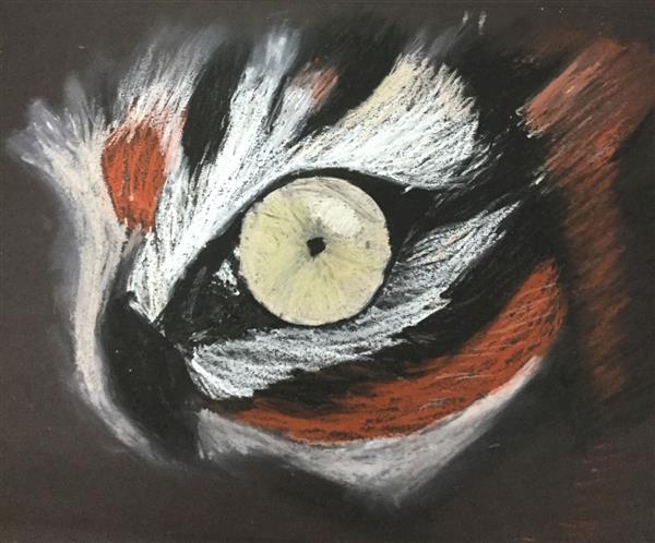 Art Gallery / Animal Eyes Art Gallery / Animal Eyes