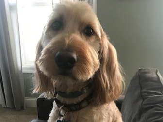 Penny